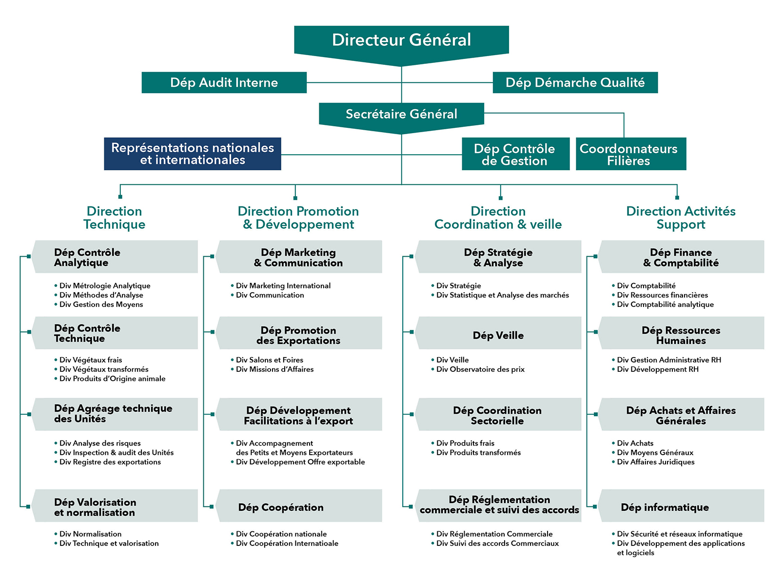 Organigramme MOROCCOFOODEX